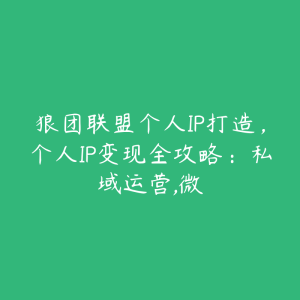 狼团联盟个人IP打造，个人IP变现全攻略：私域运营,微-51自学联盟