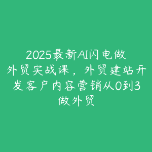 2025最新AI闪电做外贸实战课，外贸建站开发客户内容营销从0到3做外贸-51自学联盟