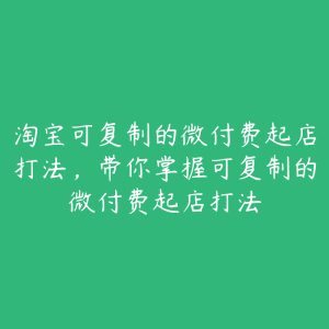 淘宝可复制的微付费起店打法，带你掌握可复制的微付费起店打法-51自学联盟