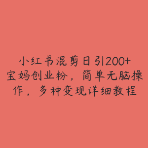小红书混剪日引200+宝妈创业粉,简单无脑操作,多种变现详细教程-51自学联盟