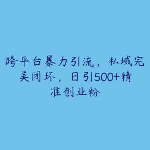 跨平台暴力引流，私域完美闭环，日引500+精准创业粉-51自学联盟