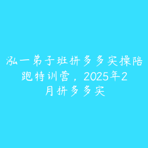 泓一弟子班拼多多实操陪跑特训营，2025年2月拼多多实-51自学联盟