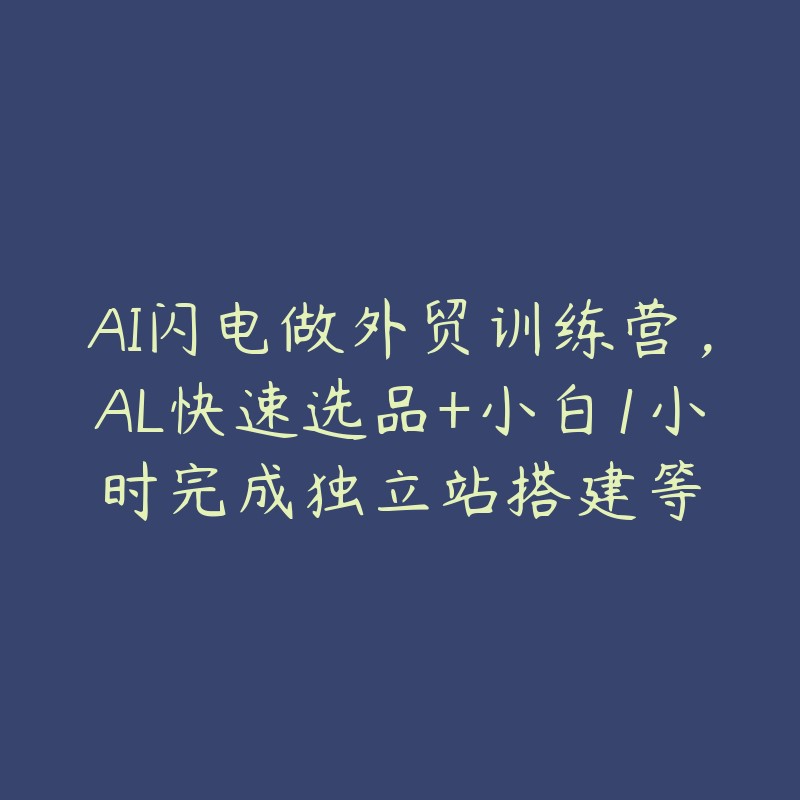 AI闪电做外贸训练营，AL快速选品+小白1小时完成独立站搭建等-51自学联盟