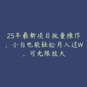 25年最新项目批量操作，小白也能轻松月入过W，可无限放大-51自学联盟