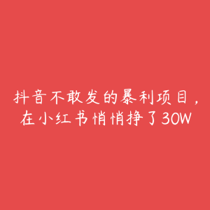 抖音不敢发的暴利项目，在小红书悄悄挣了30W-51自学联盟