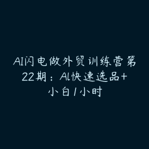 AI闪电做外贸训练营第22期：Al快速选品+小白1小时-51自学联盟