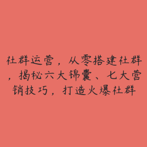 社群运营，从零搭建社群，揭秘六大锦囊、七大营销技巧，打造火爆社群-51自学联盟