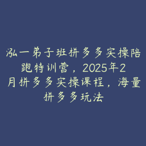 泓一弟子班拼多多实操陪跑特训营，2025年2月拼多多实操课程，海量拼多多玩法-51自学联盟