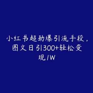 小红书超劲爆引流手段，图文日引300+轻松变现1W-51自学联盟