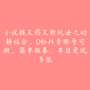 小说推文图文新玩法之动静结合，0粉抖音账号可做，简单粗暴，单日变现多张-51自学联盟