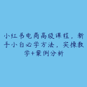 小红书电商高级课程，新手小白必学方法，实操教学+案例分析-51自学联盟