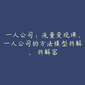 一人公司:流量变现课,一人公司的方法模型拆解, 拆解富-51自学联盟