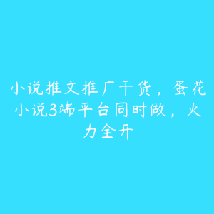 小说推文推广干货,蛋花小说3端平台同时做,火力全开-51自学联盟