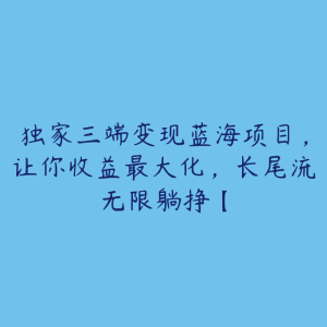 独家三端变现蓝海项目,让你收益最大化,长尾流无限躺挣【-51自学联盟