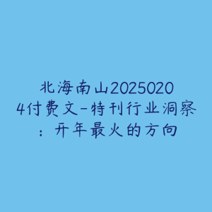 北海南山20250204付费文-特刊行业洞察：开年最火的方向-51自学联盟