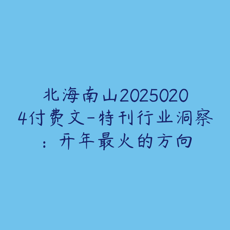 北海南山20250204付费文-特刊行业洞察：开年最火的方向