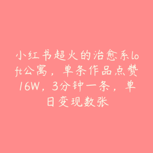 小红书超火的治愈系loft公寓,单条作品点赞16W,3分钟一条,单日变现数张-51自学联盟