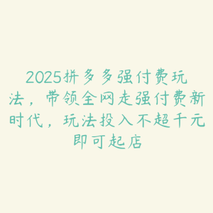 2025拼多多强付费玩法，带领全网走强付费新时代，玩法投入不超千元即可起店-51自学联盟