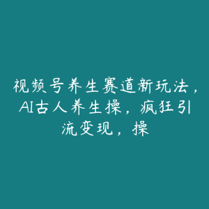 视频号养生赛道新玩法,AI古人养生操,疯狂引流变现,操-51自学联盟