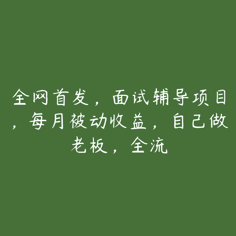 全网首发,面试辅导项目,每月被动收益,自己做老板,全流