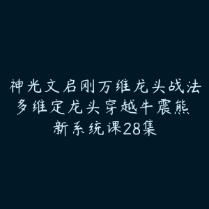 神光文启刚万维龙头战法多维定龙头穿越牛震熊 新系统课28集-51自学联盟