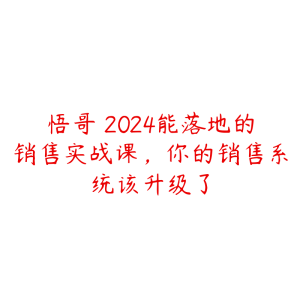 悟哥・2024能落地的销售实战课,你的销售系统该升级了-51自学联盟