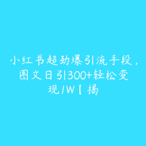 小红书超劲爆引流手段，图文日引300+轻松变现1W【揭-51自学联盟