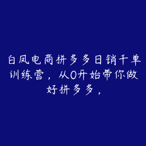 白凤电商拼多多日销千单训练营,从0开始带你做好拼多多,-51自学联盟