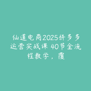 仙道电商2025拼多多运营实战课 40节全流程教学,覆-51自学联盟