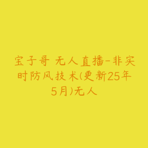 宝子哥・无人直播-非实时防风技术(更新25年5月)无人-51自学联盟