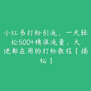 小红书打粉引流,一天轻松500+精准流量,大佬都在用的打粉教程【揭秘】-51自学联盟