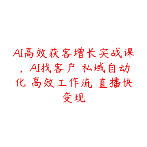 AI高效获客增长实战课,AI找客户 私域自动化 高效工作流 直播快变现-51自学联盟