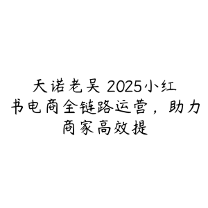 天诺老吴・2025小红书电商全链路运营,助力商家高效提-51自学联盟