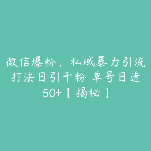 微信爆粉,私域暴力引流打法日引千粉 单号日进50+【揭秘】-51自学联盟