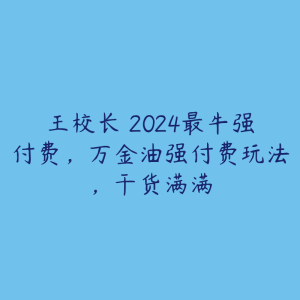 王校长・2024最牛强付费,万金油强付费玩法,干货满满-51自学联盟