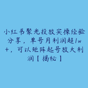 小红书聚光投放实操经验分享,单号月利润超1w+,可以矩阵起号放大利润【揭秘】-51自学联盟