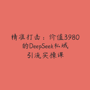 精准打击:价值3980的DeepSeek私域引流实操课-51自学联盟