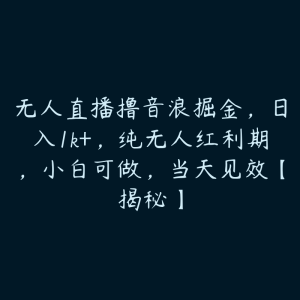 无人直播撸音浪掘金,日入1k+,纯无人红利期,小白可做,当天见效【揭秘】-51自学联盟