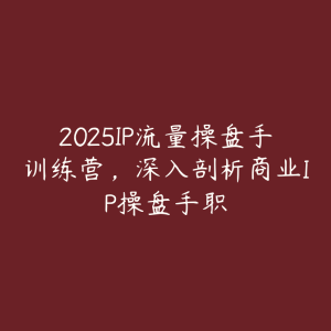 2025IP流量操盘手训练营,深入剖析商业IP操盘手职-51自学联盟