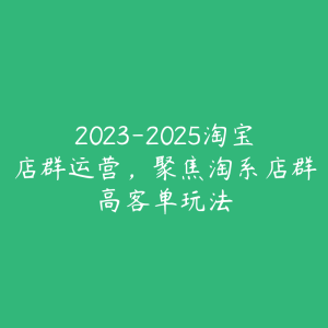 2023-2025淘宝店群运营,聚焦淘系店群高客单玩法-51自学联盟