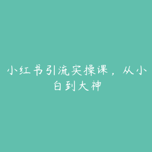小红书引流实操课,从小白到大神-51自学联盟