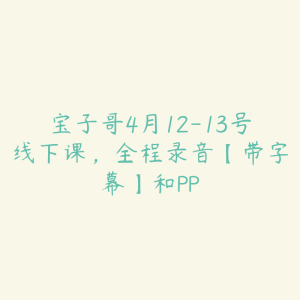 宝子哥4月12-13号线下课，全程录音【带字幕】和PP-51自学联盟