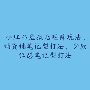 小红书虚拟店矩阵玩法,铺货铺笔记型打法,少款狂怼笔记型打法-51自学联盟