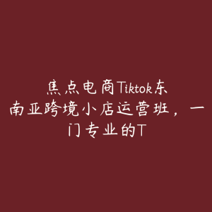 焦点电商Tiktok东南亚跨境小店运营班,一门专业的T-51自学联盟