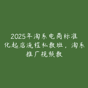 2025年淘系电商标准化起店流程私教班,淘系推广视频教-51自学联盟
