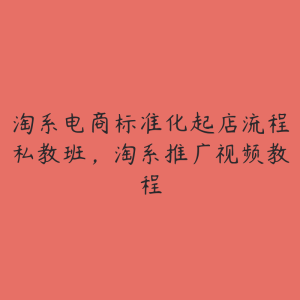 淘系电商标准化起店流程私教班，淘系推广视频教程-51自学联盟