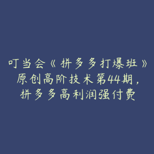 叮当会《拼多多打爆班》原创高阶技术第44期，拼多多高利润强付费-51自学联盟