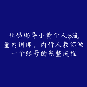社恐编导小黄个人ip流量内训课,内行人教你做一个账号的完整流程-51自学联盟