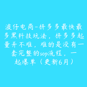波仔电商-拼多多最快最多黑科技玩法,拼多多起量并不难,难的是没有一套完整的sop流程,一起爆单(更新6月)-51自学联盟