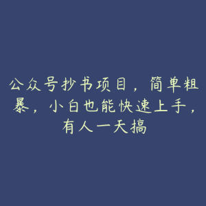 公众号抄书项目,简单粗暴,小白也能快速上手,有人一天搞-51自学联盟